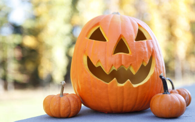 Carved Pumpkins Needed for the 14th Annual Pumpkin Trail