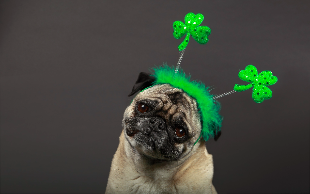 St. Patrick’s Day Events in Lubbock