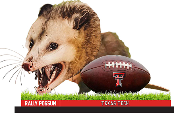 Texas Tech Rally Possum Bobblehead Unveiled