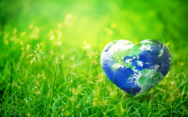 Take Care of the Earth on Earth Day and Everyday!