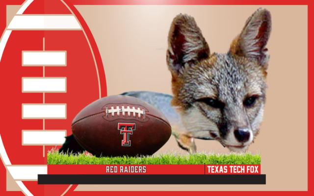 Texas Tech Football Fox Bobblehead Unveiled
